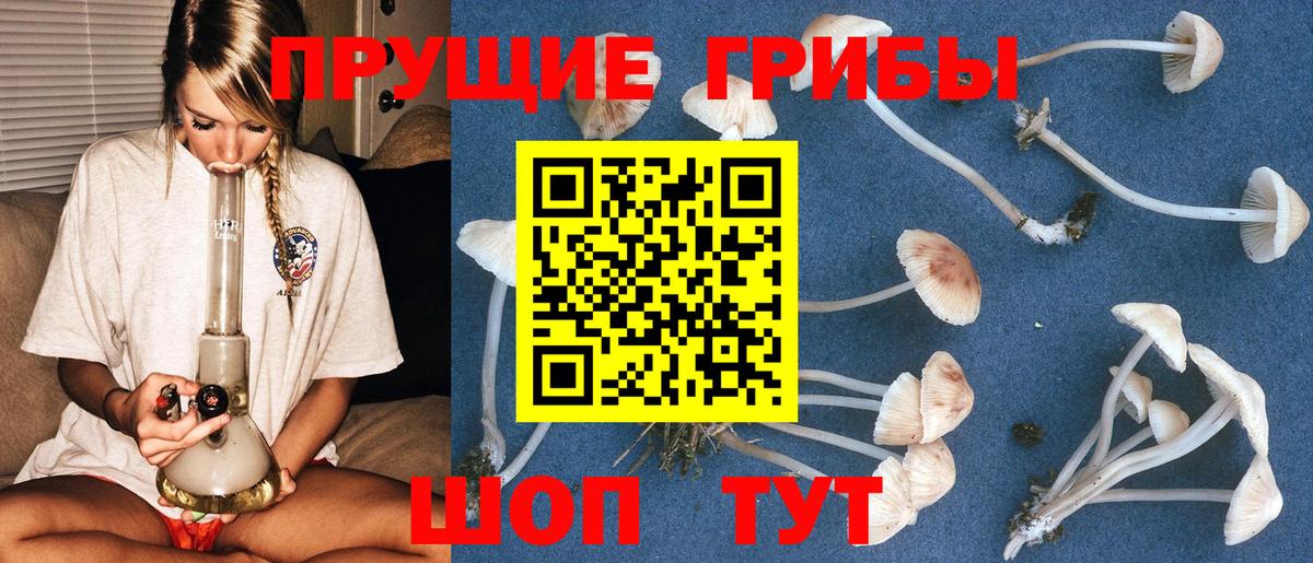 Уссурийск  Псилоцибиновые грибы GOLDEN TEACHER  Вход с VPN 