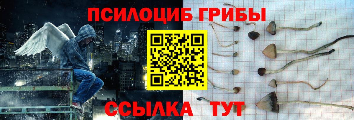 Псилоцибиновые грибы мицелий Уссурийск